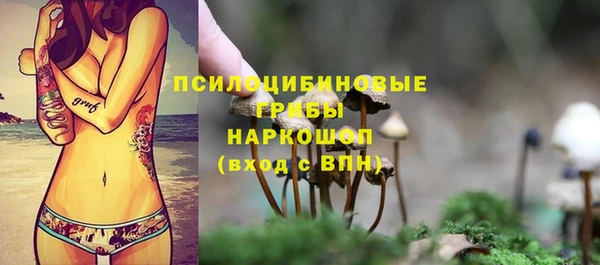 гидропоника Гвардейск