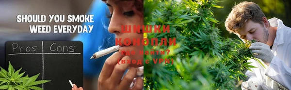 шишки Осинники