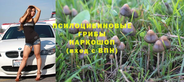 шишки Осинники