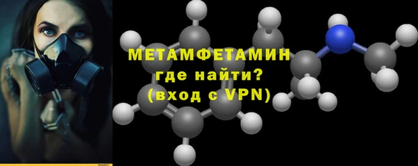 шишки Осинники