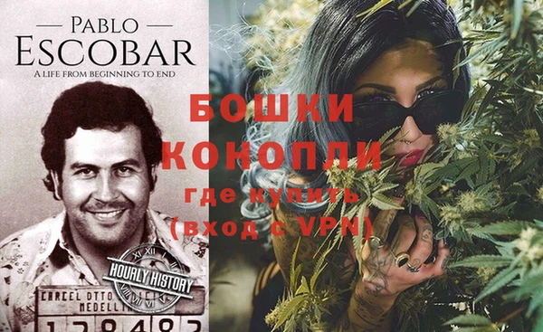 шишки Осинники