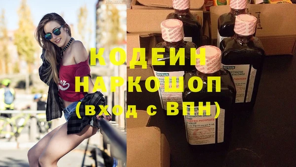 шишки Осинники