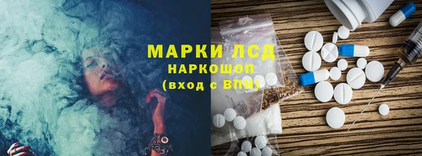 шишки Осинники