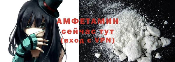 шишки Осинники