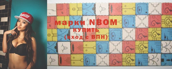 шишки Осинники