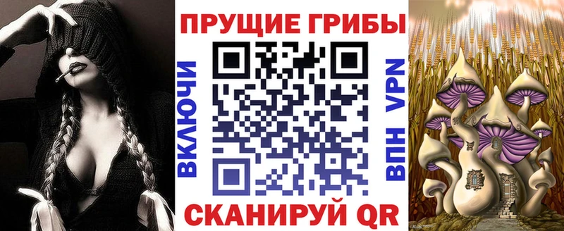 Галлюциногенные грибы прущие грибы  купить   Сатка 