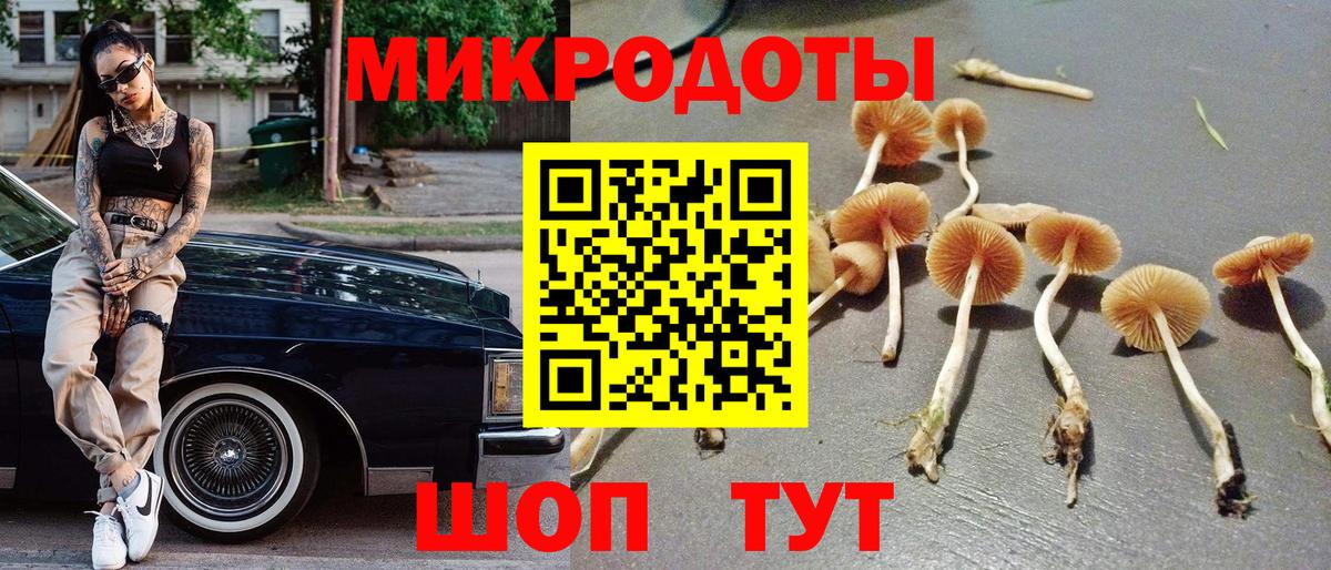 Псилоцибиновые грибы MAGIC MUSHROOMS  Вход с VPN  Сатка  Галлюциногенные грибы GOLDEN TEACHER 