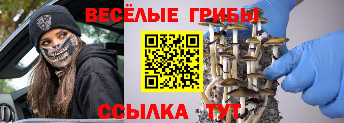 Псилоцибиновые грибы мицелий Сатка